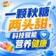 金秋金陵，第115届秋季全国糖酒会，食饮新伙伴，并肩同行
